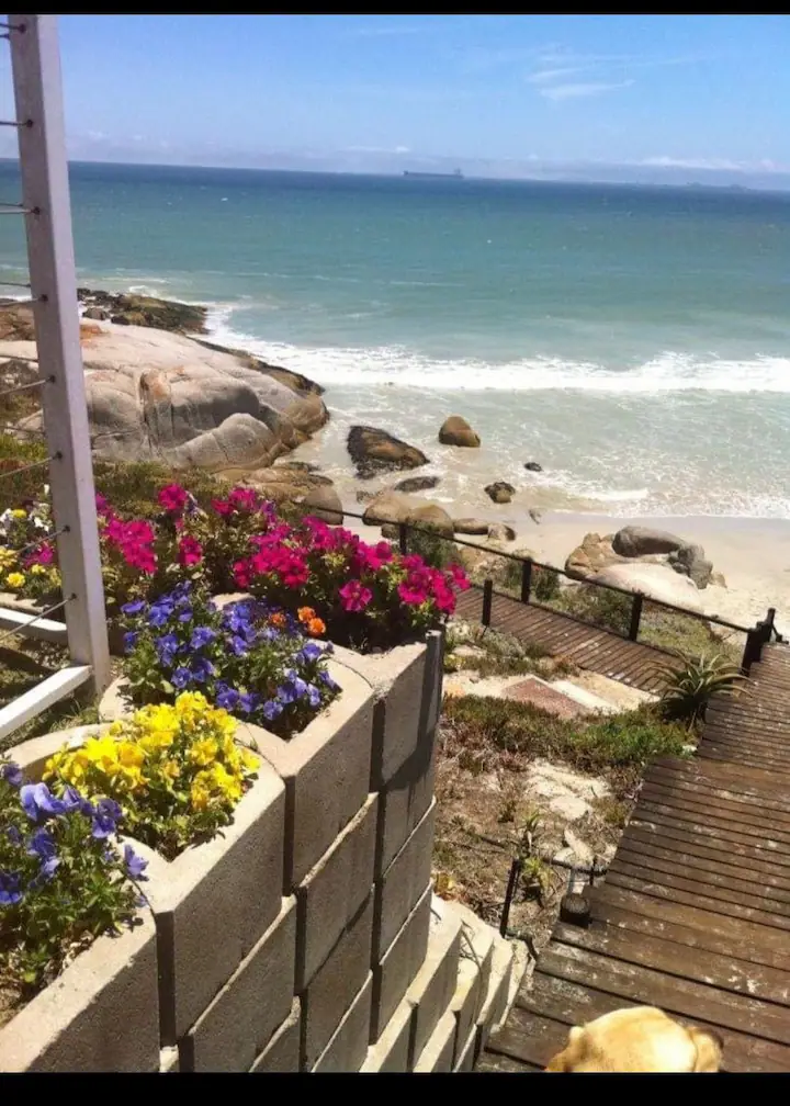 To Let 4 Bedroom Property for Rent in Langebaan Western Cape